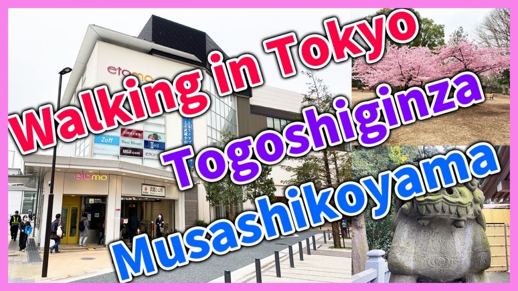 【Japan】Walking in Togoshiginza and Musashikoyama【Tokyo】