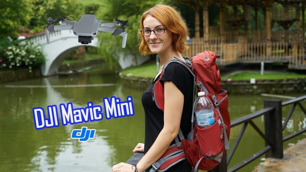 DJI Mavic Mini CINEMATIC VIDEOS: A Somewhat Affordable Gateway Drone