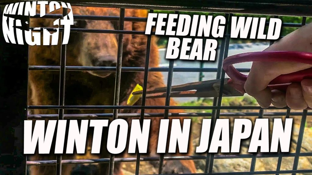 Fuji Safari Park WINTON IN JAPAN - EPISODE 2