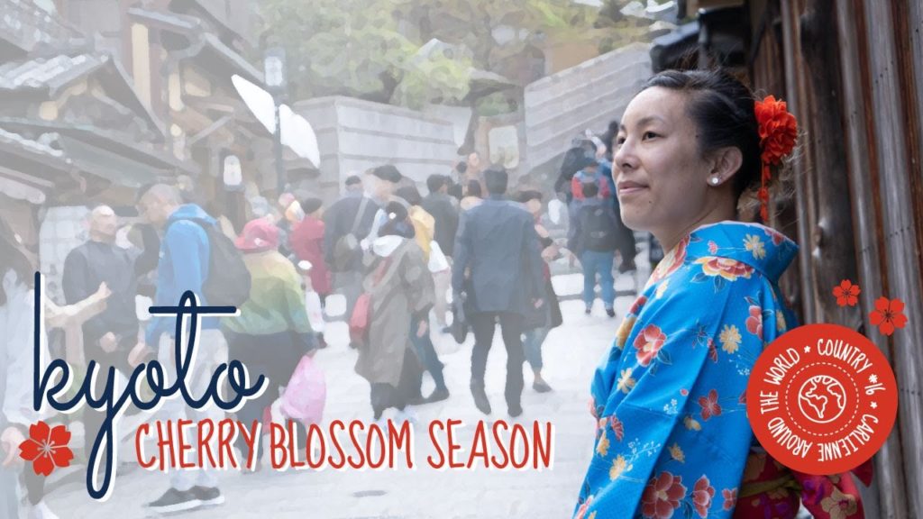 Cherry Blossom Season in Japan | Kyoto Episode | Carlienne's Favorite's Ep.13 Cherry Blossom Season in Japan | Kyoto Episode | Carlienne's Favorite's Ep.13