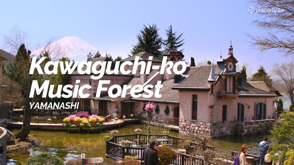 Kawaguchi-ko Music Forest,Yamanashi | Japan Travel Guide Kawaguchi-ko Music Forest,Yamanashi | Japan Travel Guide