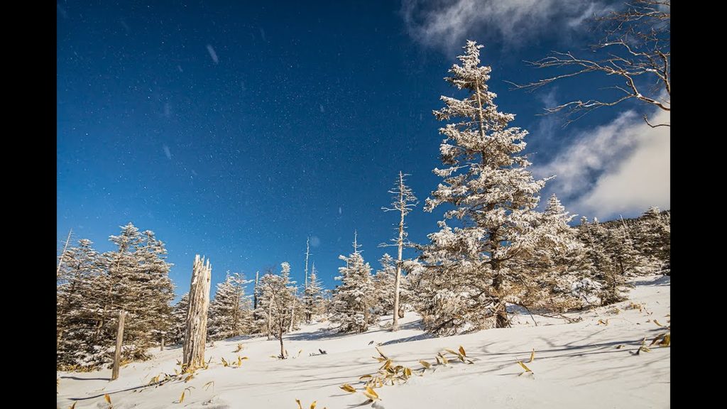 Winter JAPAN | Snow Trekking, Holy Shrine, Monkey Hot spring in NAGANO