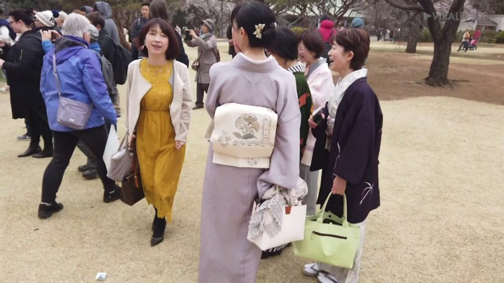 Japan Cherry Blossom Season 2019