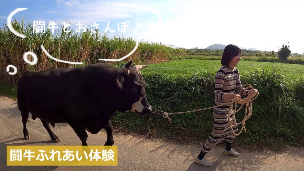 【徳之島編】「癒しと冒険」の島巡りへ!奄美群島で大人女子旅│LINEトラベルjp 【徳之島編】「癒しと冒険」の島巡りへ!奄美群島で大人女子旅│LINEトラベルjp