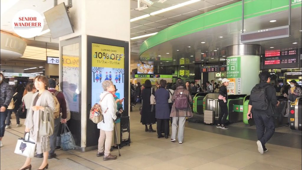 Trip to Tokyo, Japan, EP08 - Shinjuku Station (新宿駅)South Gate to West Gate