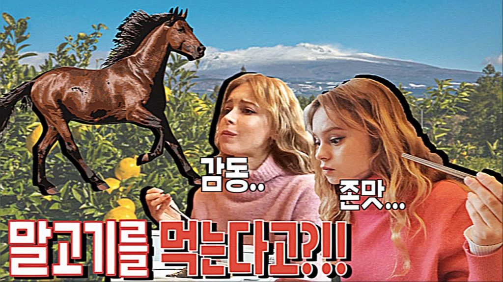 외국인 여자들이 제주도 말고기 처음 맛봤습니다! 맛간여자들한테 육회가 입에 맞음? / Trying Raw Horse Meat in Jeju Island