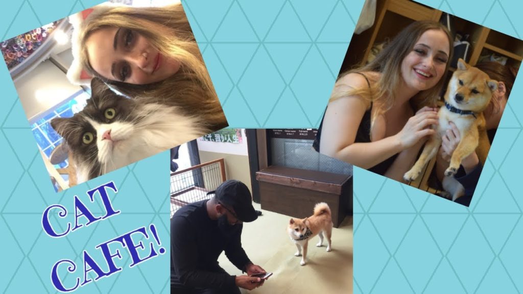 Japan Vlog: Day in Harajuku | CAT CAFE