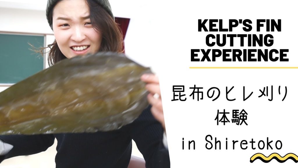 Kelp's Fin Cutting Experience ｜Shiretoko Things to Do｜Travel Hokkaido Ep 1｜Ten to Ten