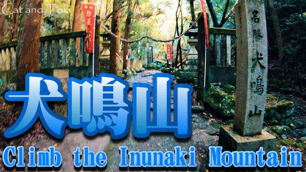 絶景な紅葉が綺麗｜犬鳴山登山。ドローン空撮 大阪府泉佐野市大木犬鳴 Climb Inunakiyama  DJI drone aerial view Osaka Japan