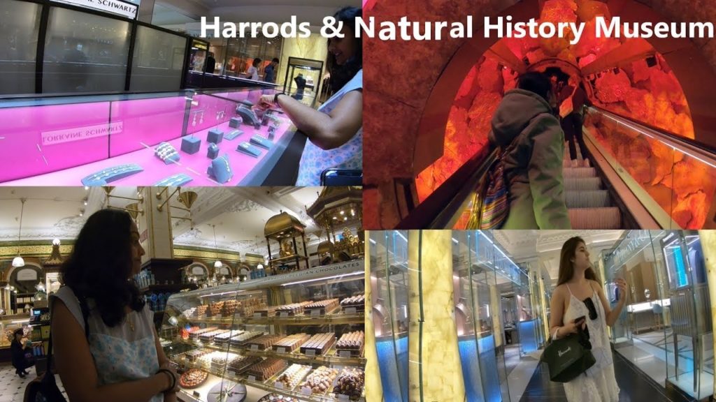 Harrods &  Natural History Museum Visit: London attractions