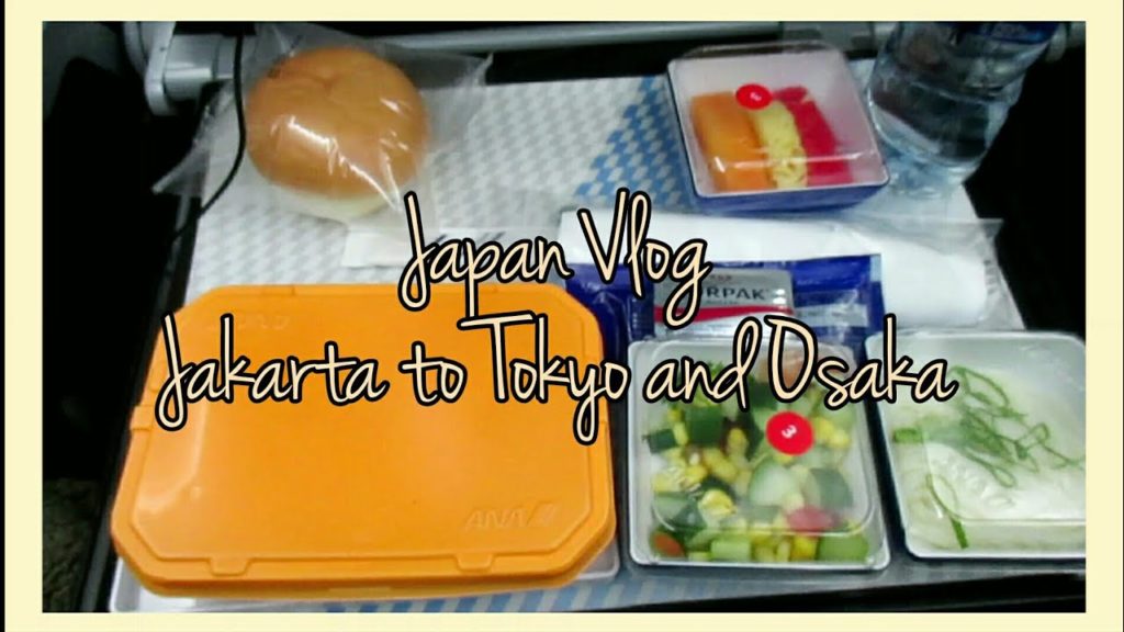 Vlog #2 | Day 1 - Dari Jakarta menuju Tokyo lalu ke Osaka | Japan Vlog