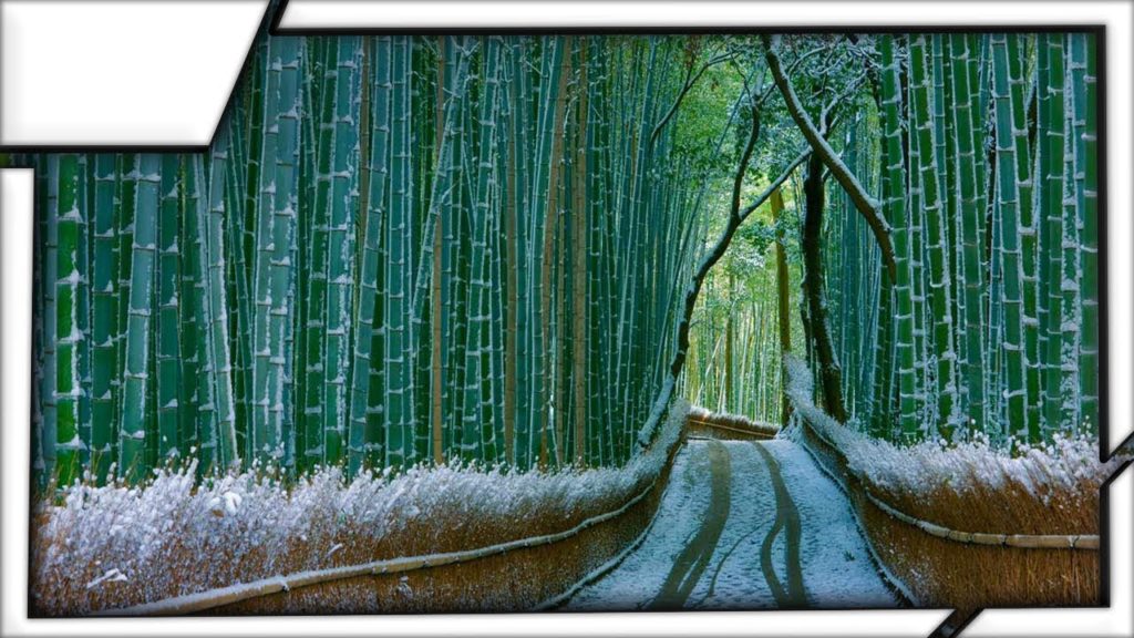 Sagano Bamboo Forest – Kyoto, Japan