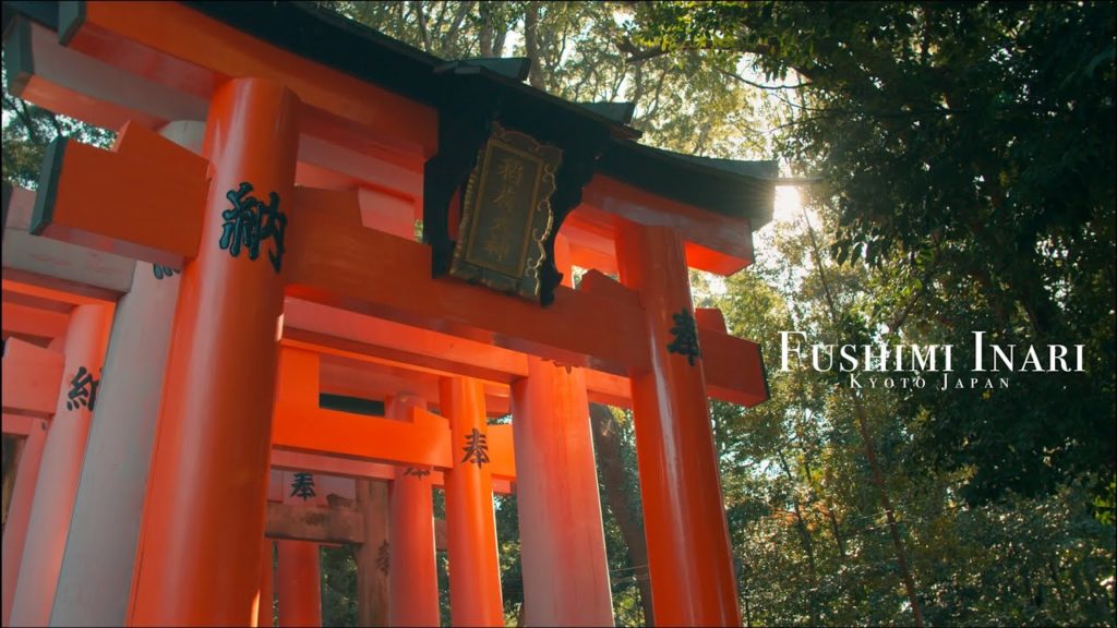 Fushimi Inari Taisha : Kyoto Japan