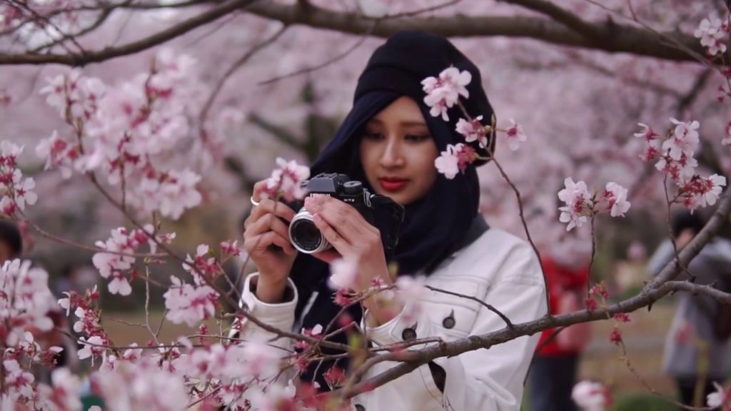 Sakura Hanami Di Tokyo Jepang Bersama Aufa