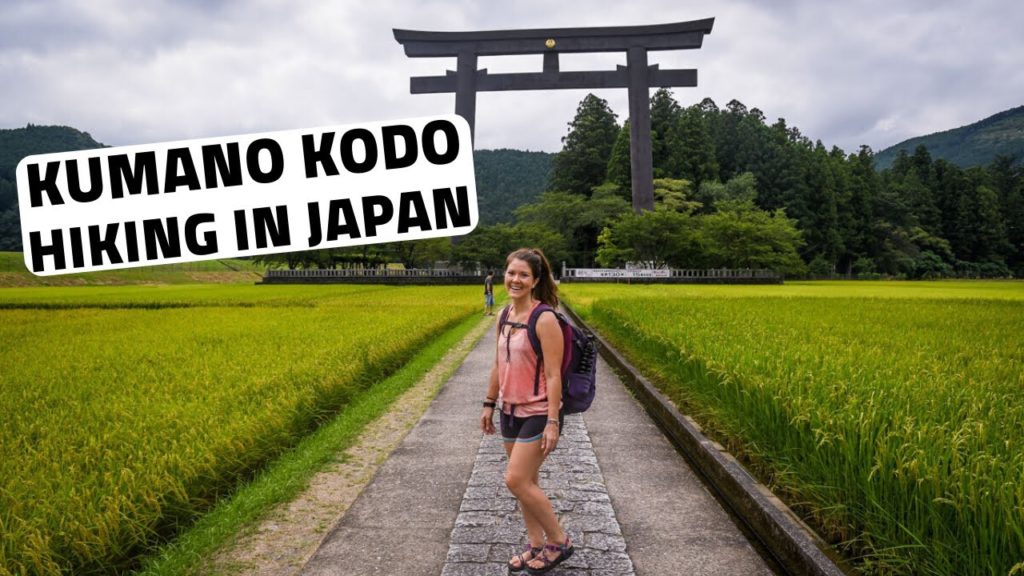 Kumano Kodo Trail: Hiking Japan's Secret Pilgrimage Route