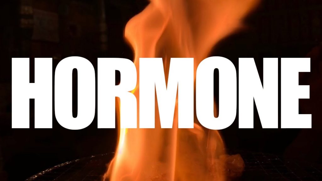 Japanese Recommended Food "Hormone" BBQ in Tokyo / ホルモン 上野御徒町