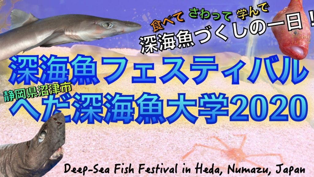 へだ深海魚フェスティバル&深海魚大学2020|Deep-Sea Festival & Deep-Sea University in Heda, Numazu, Japan へだ深海魚フェスティバル&深海魚大学2020|Deep-Sea Festival & Deep-Sea University in Heda, Numazu, Japan