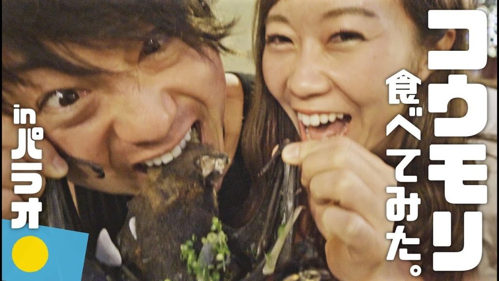 【閲覧注意】コロナウイルスの自然宿主コウモリはパラオの伝統料理だったので･･･