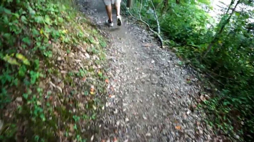 Japan Trip 2012 - Short Walk in Shirakawa-gō