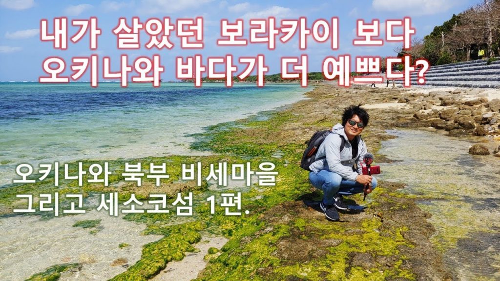 구독자와 함께 한 오키나와 북부 비세마을 그리고 세소코섬 투어 1편! 내가 살던 보라카이 바다 보다 오키나와가 바다가 더 예쁘다?