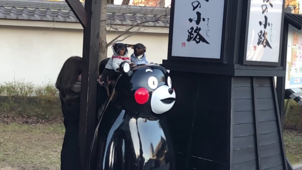 熊本城公園散歩 ～ Japan Walk Kumamoto-Jo Castle Park 2020 年のとある日の熊本の様子