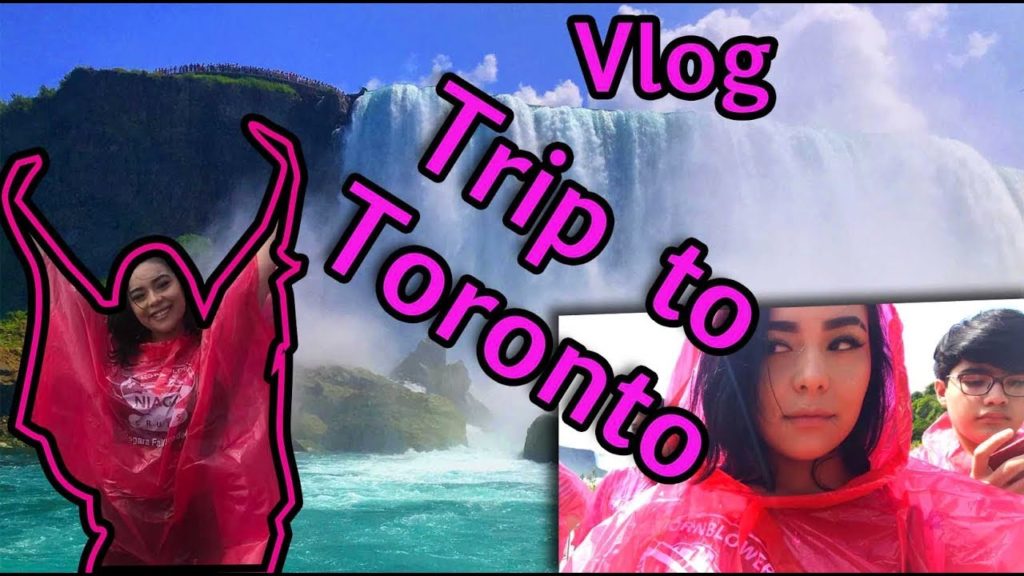 Trip To Toronto - Vlog | Lali |