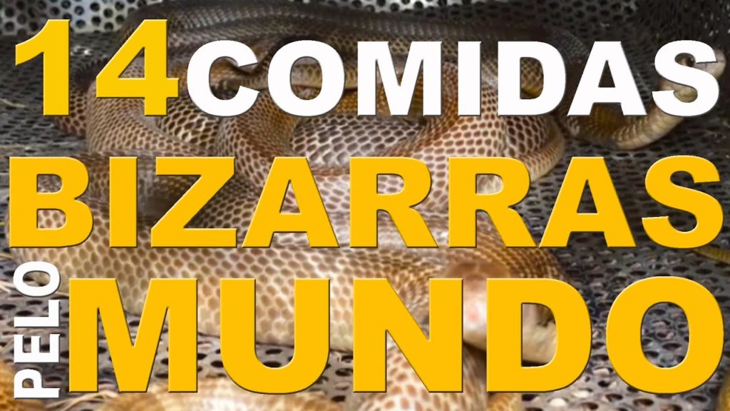 14 COMIDAS ESTRANHAS QUE COMI PELO MUNDO