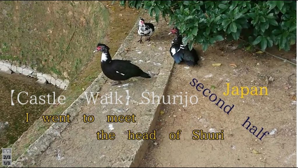 This makes you feel like you went! Stroll in Shurijo Castle【Japanese culture trip】-首里城の主に会ってきた-