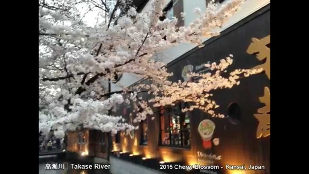 超值旅遊-Cherry Blossom - Kansai, Japan(2015)