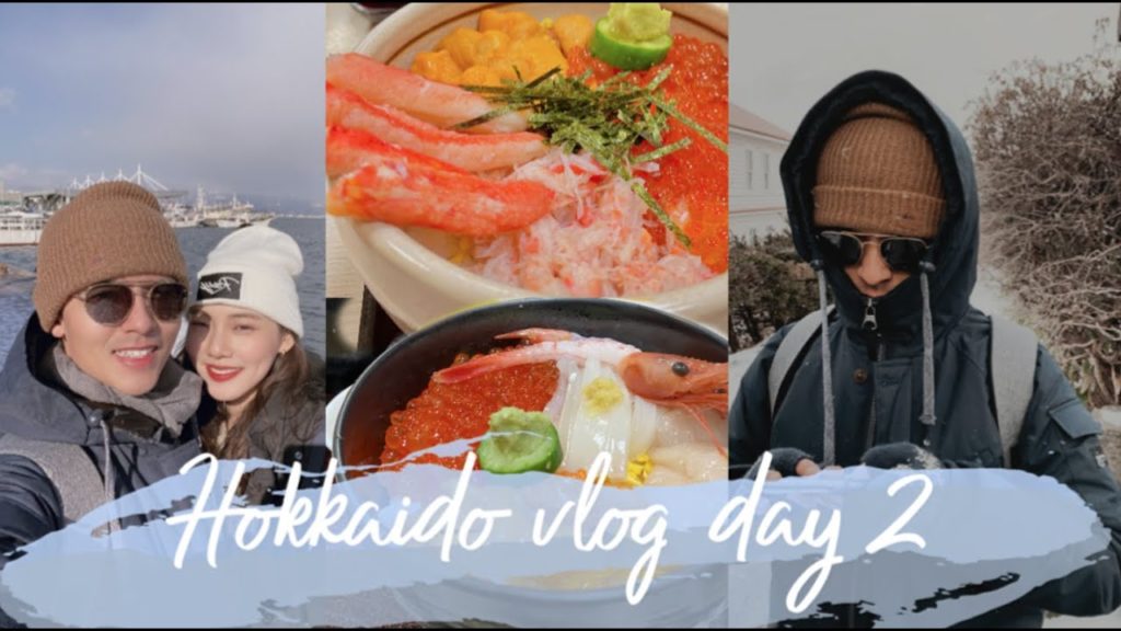 日本北海道自由行/Hokkaido vlog Day2/用一天玩函館全部景點/函館早餐激推食堂/函館夜景/五味軒/函館超市必買