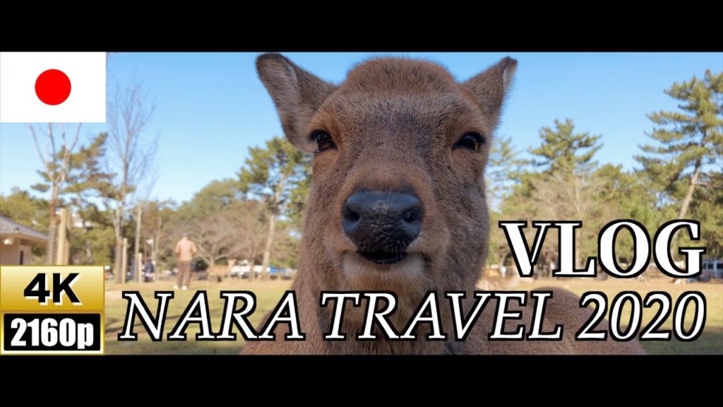 【4K】Nara,japan Travel 2020【VLOG】 【4K】Nara,japan Travel 2020【VLOG】
