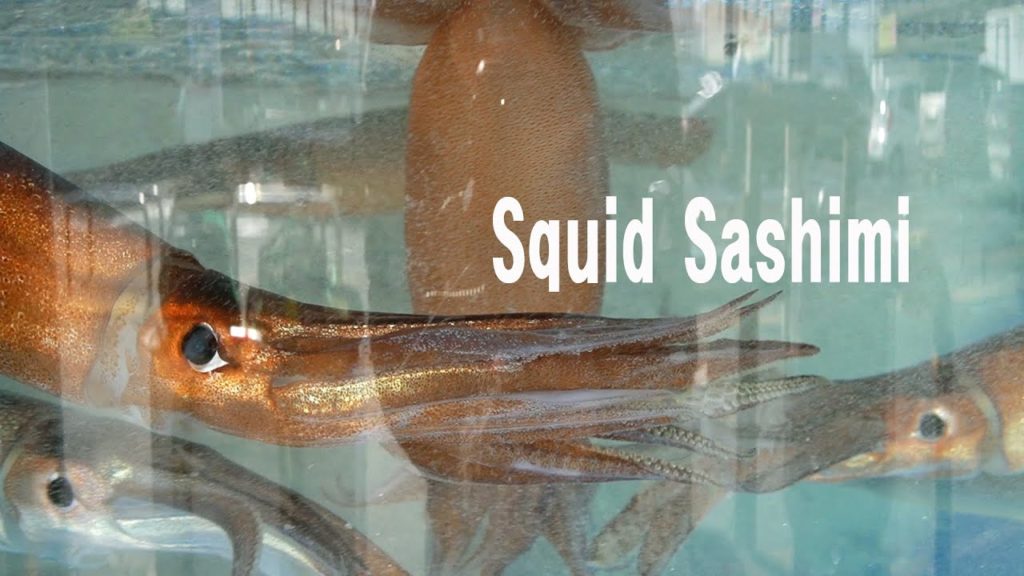 금값이 되어 버린 오징어/싱싱한 오징어 회뜨기/구리 수산시장/산오징어 회/기술자가 썰어서 회뜨기/오징어 회뜨기 달인/오징어 회/살아있는 오징어/오징어 손질법/레전드 손질