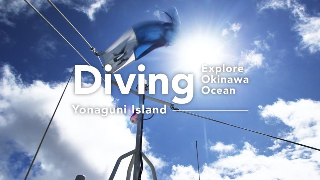 Explore Okinawa Ocean: Diving interview