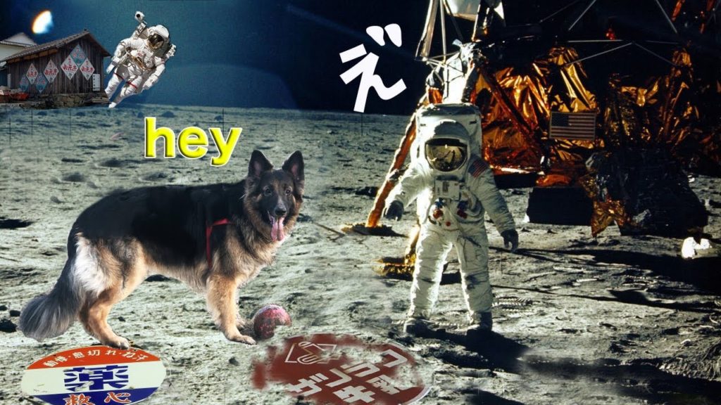 月面散歩?アポロで大型犬・シェパードマックと惑星探索!I want to travel to the moon 月面散歩?アポロで大型犬・シェパードマックと惑星探索!I want to travel to the moon