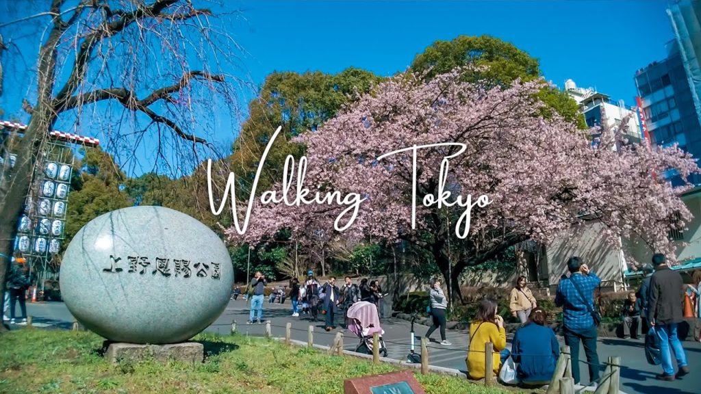 🇯🇵🌸Walking Tokyo | Ueno Park