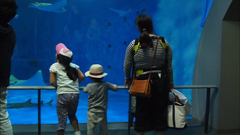 いおワールドかごしま水族館 2014　Kagoshima City Aquariu