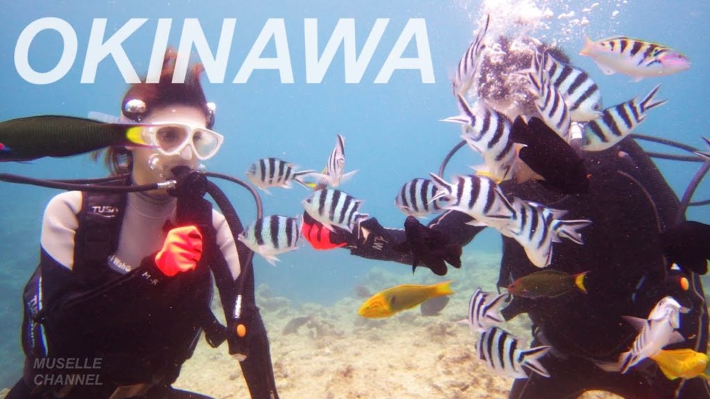 OKINAWA TRIP 2018 [ WITH GREETINGS IN ENGLISH & JAPANESE ]