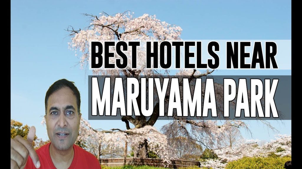 Best Hotel   Accommodation near Maruyama Park, Sapporo