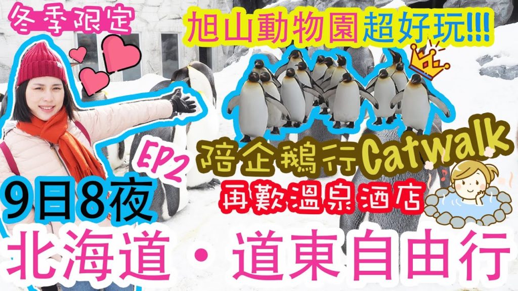 【北海道自由行】北海道道東鐵路之旅 | 旭山動物園 人氣企鵝巡遊 | 旭川酒店推介 | 鬧市中的溫泉酒店!? | 左撇子遊北海道 EP2