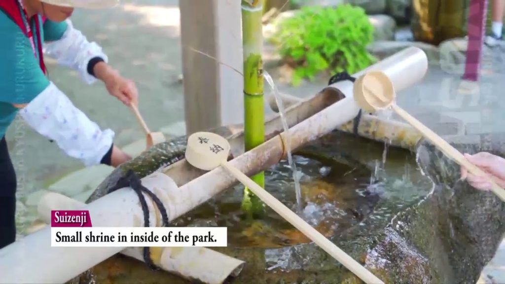 [KURUKURUBUS] KUMAMOTO SUIJENJI