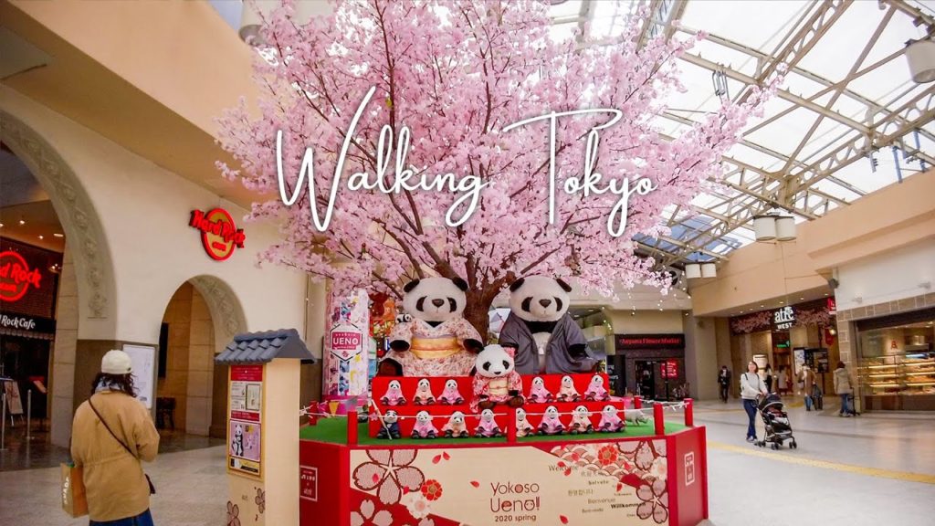 🇯🇵Walking Travel Guide | Ueno Sta. and Ameyoko Shopping Street
