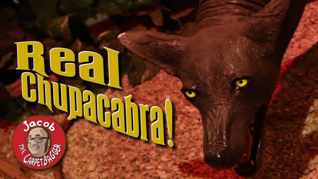 Buckhorn Saloon and Ripley's Odditorium - San Antonio, TX