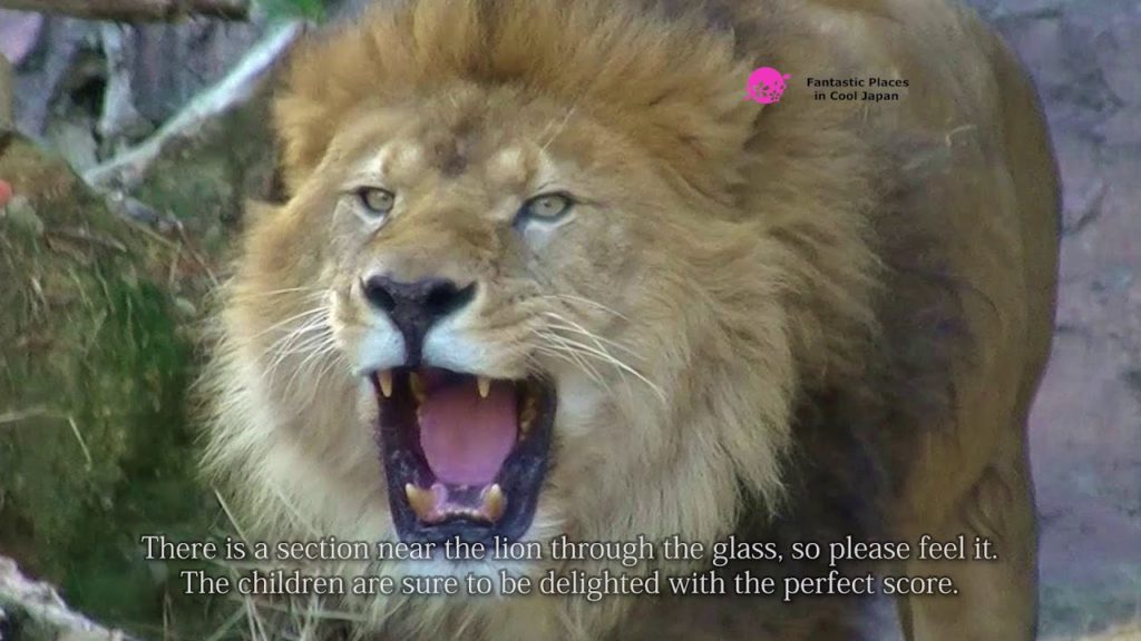 Higashiyama Zoo and Botanical Gardens, Aichi