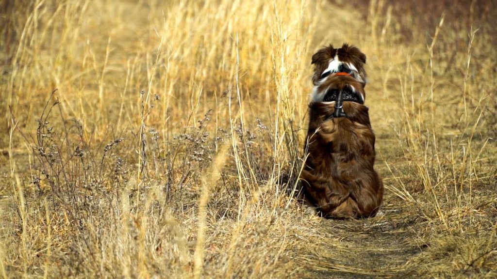 The Greenlands | Sony A6400 and Sony 18-105 f4