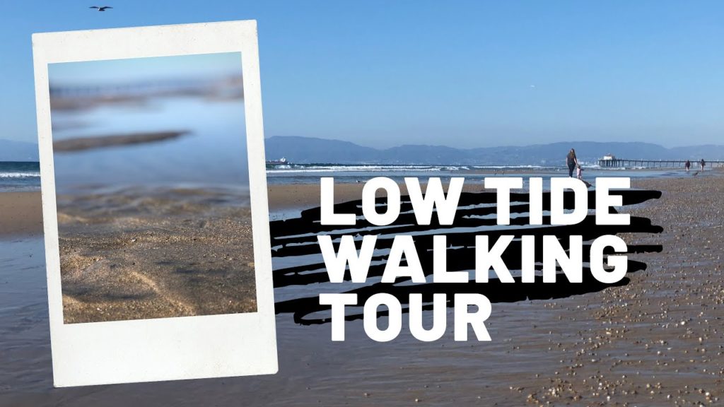 I love LOW TIDE | Hermosa Beach to Manhattan Beach Walking Tour with Ocean Views