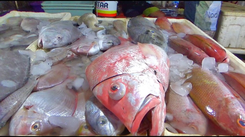 Cara Makan Seafood Murah Di Jimbaran Bali | Bali Street Food | Jimbaran Fish Market #Streetfood 39 Cara Makan Seafood Murah Di Jimbaran Bali | Bali Street Food | Jimbaran Fish Market #Streetfood 39