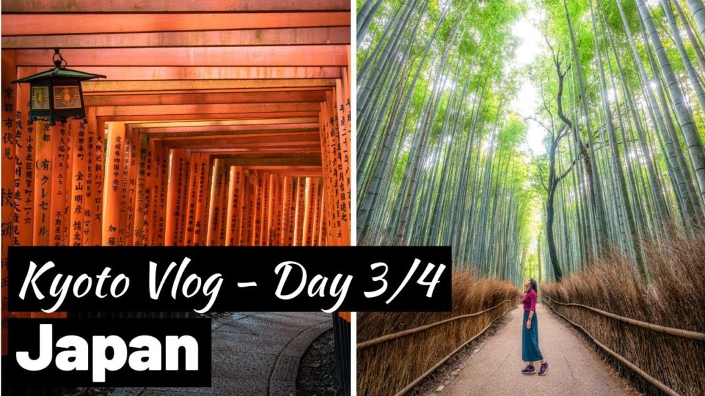 Photographing KYOTO'S most FAMOUS ATTRACTIONS!!! Kyoto Travel Vlog Pt 3