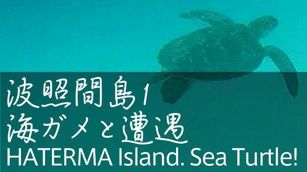 沖縄【波照間島1】シュノーケリング・海ガメと遭遇！