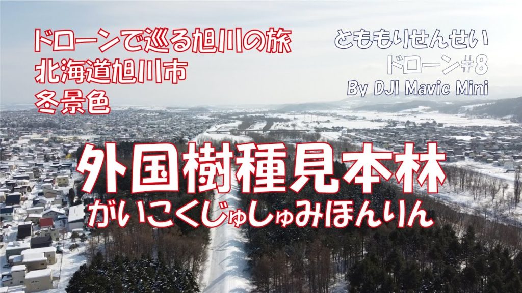 見本林#01☆ドローンで巡る旭川の旅#01☆旭川市神楽(北海道)【とももりせんせい】Asahikawa, Hokkaido, Japan, Mihonrin