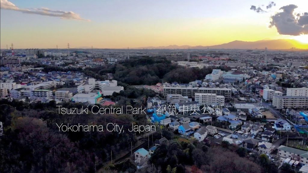 [4K DRONE] 富士山に沈む夕陽を望む 横浜市の都筑中央公園での空撮 | Aerial photography in Tsuzuki Central Park, Yokohama